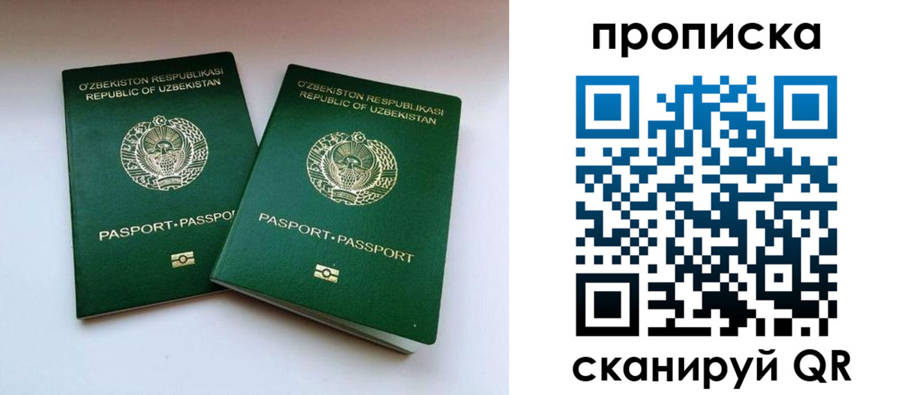 прописка поиск в Сосновоборске